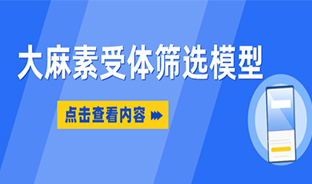 大麻素受體篩選模型 大麻素受體篩選模型