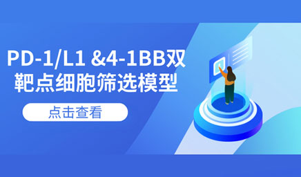 PD-1/L1 &4-1BB雙靶點(diǎn)細胞篩選模型 PD-1/L1 &4-1BB雙靶點(diǎn)細胞篩選模型